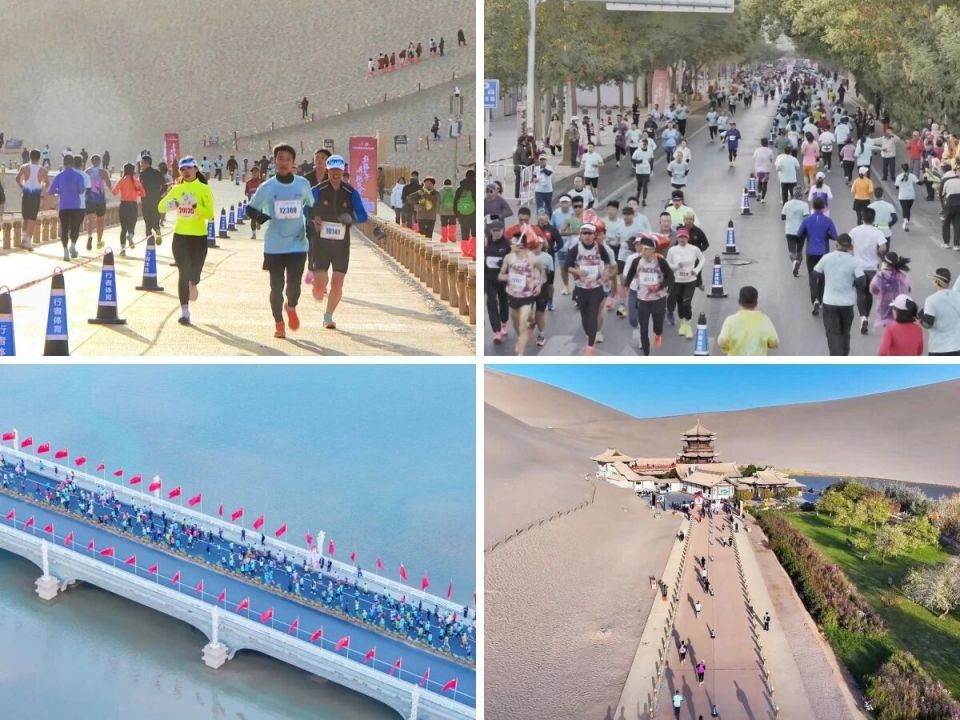 我觉得敦煌, 的成绩斩获, wAA 我觉得敦煌, 的成绩斩获, wAA